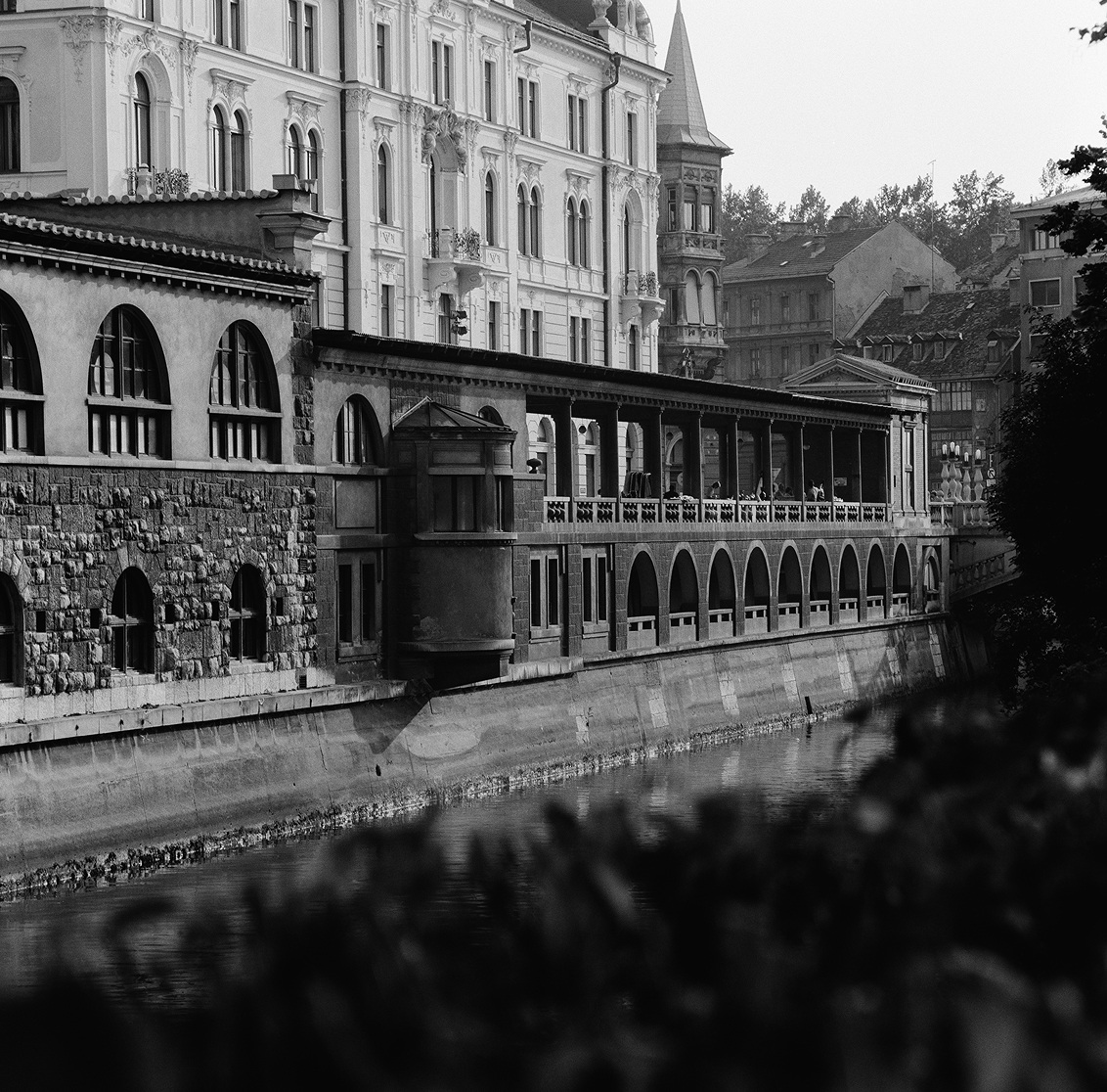 Nabrežja Ljubljanice z mostovi od Trnovskega pristana do Zapornic (vodna os)