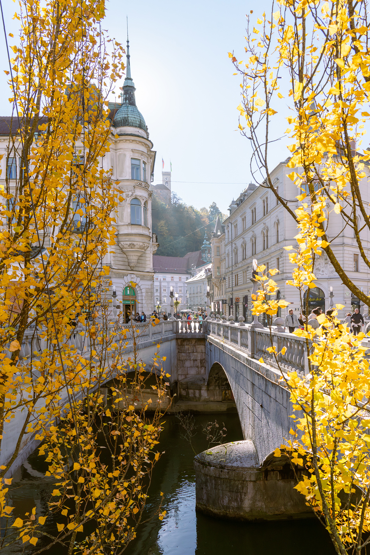 Nabrežja Ljubljanice z mostovi od Trnovskega pristana do Zapornic (vodna os)